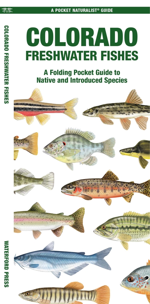 Colorado Freshwater Fishes: A Folding Pocket Guide to Native and Introduced Species cover
