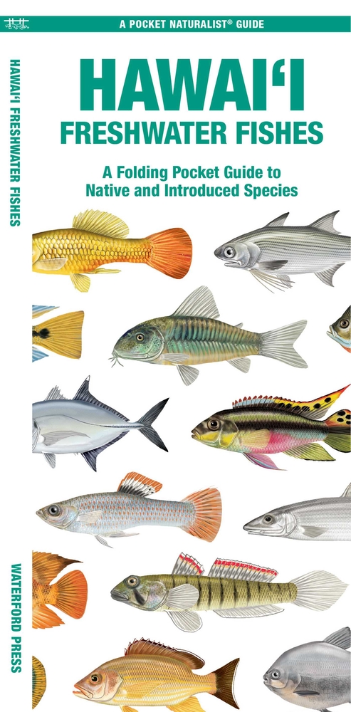 Hawai'i Freshwater Fishes: A Folding Pocket Guide to Native and Introduced Species cover