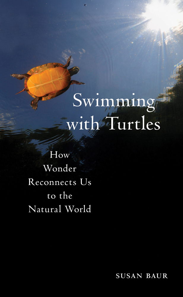 Swimming with Turtles: How Wonder Reconnects Us to the Natural World cover