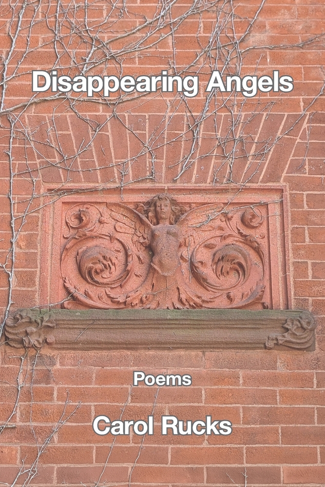 Disappearing Angels cover