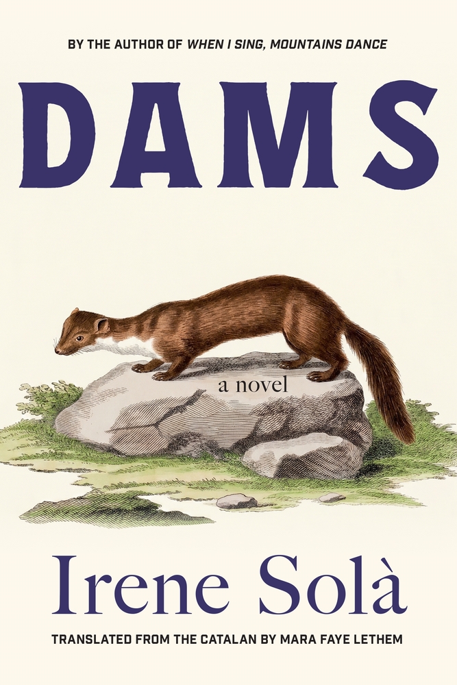 Dams cover