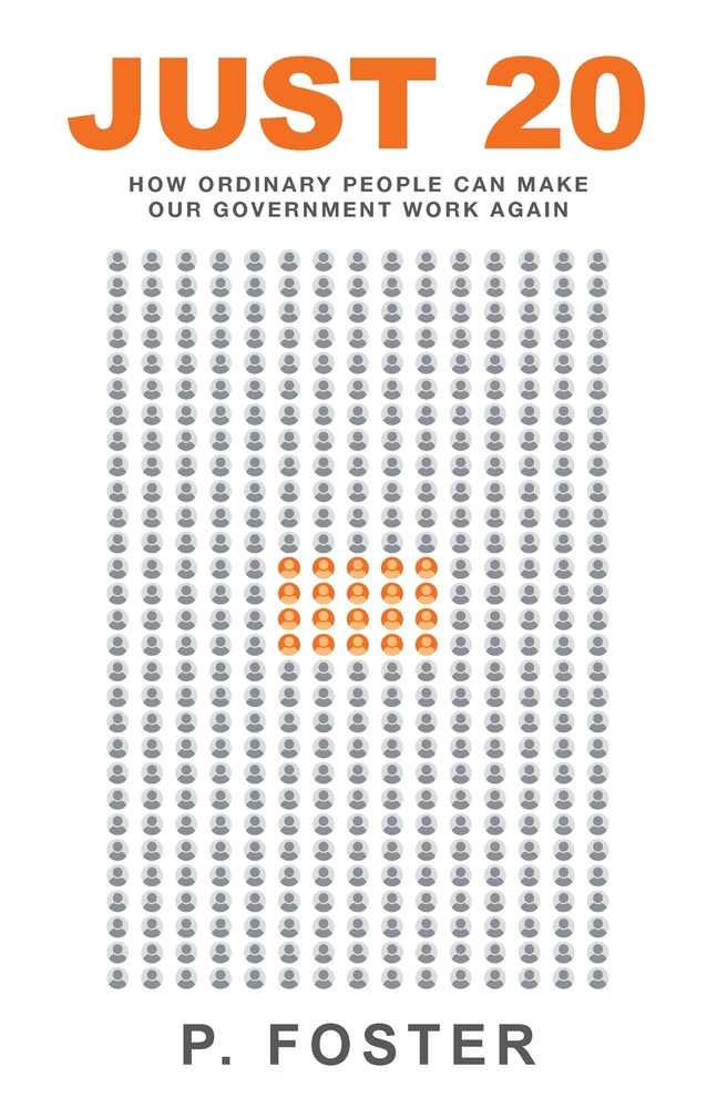 Just 20: How Ordinary People Can Make Our Government Work Again cover