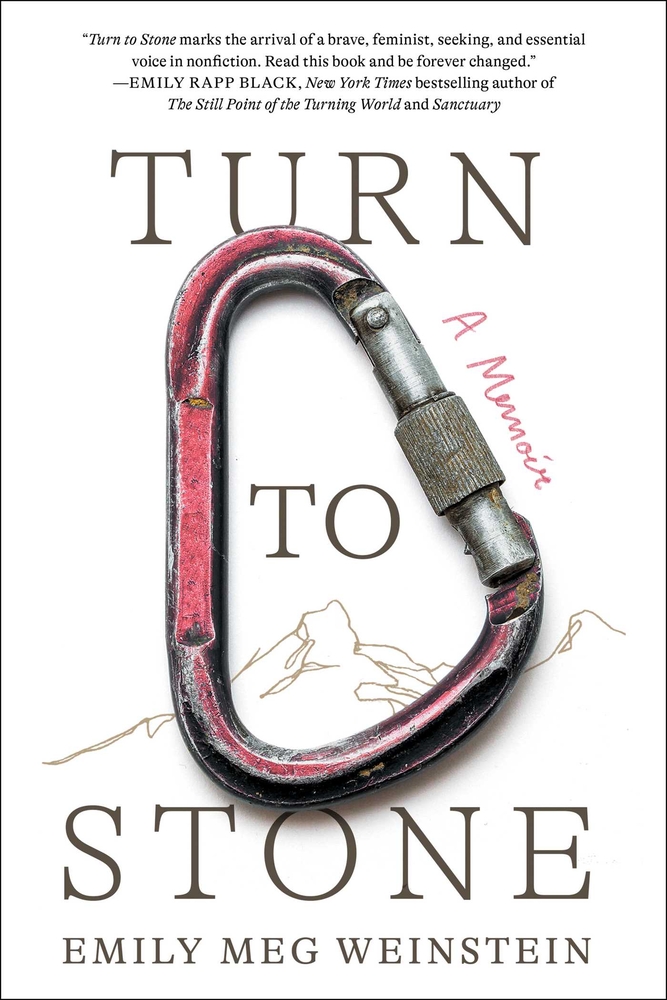 Turn to Stone: A Memoir cover