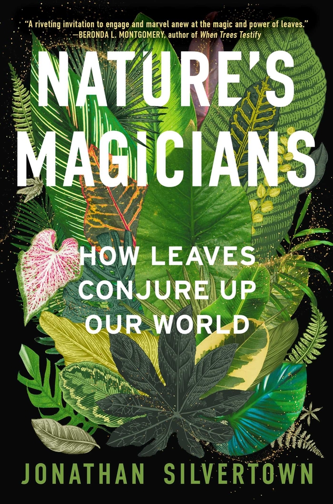 Nature's Magicians: How Leaves Conjure Up Our World cover