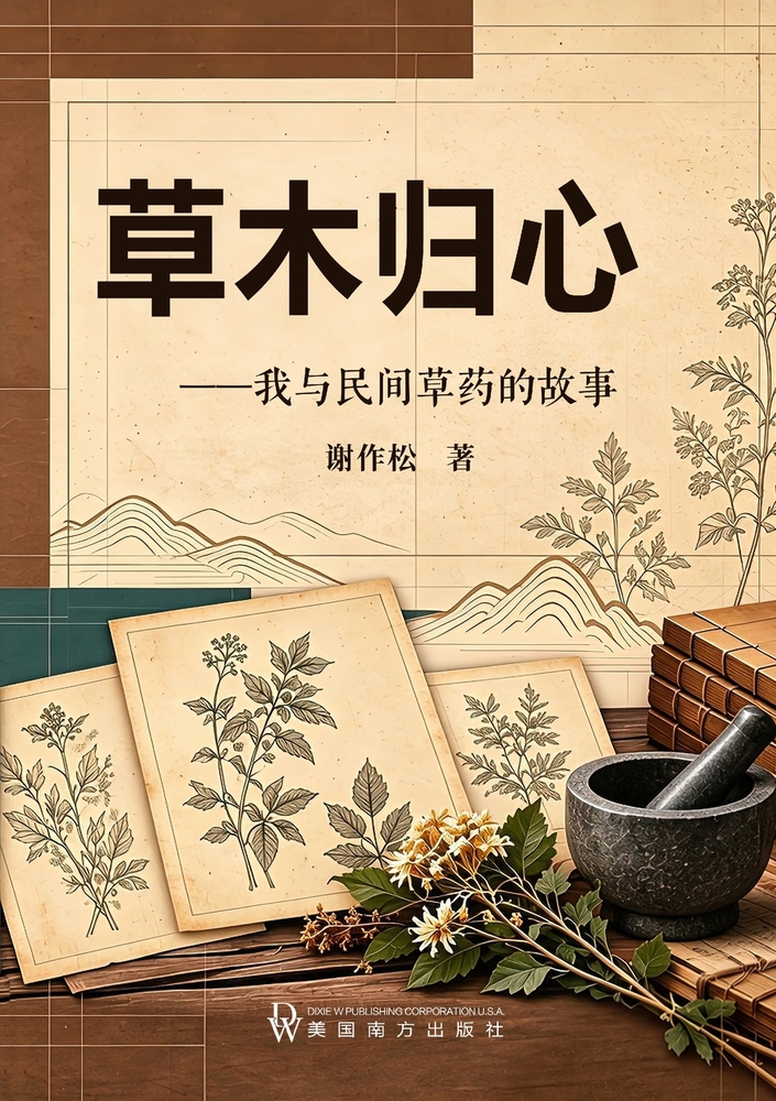 回归教育 cover