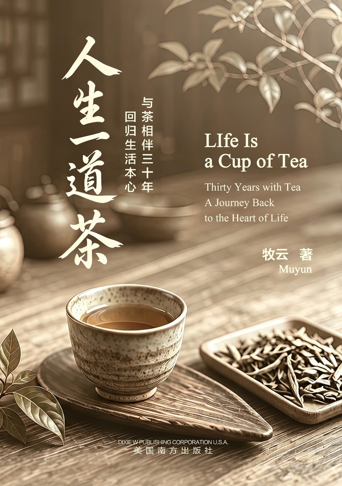 回归教育 cover