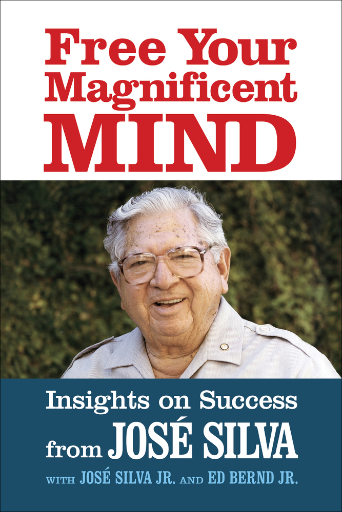 Free Your Magnificent Mind: Insights on Success cover