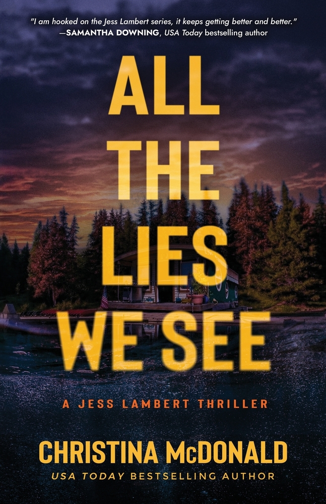 All The Lies We See cover