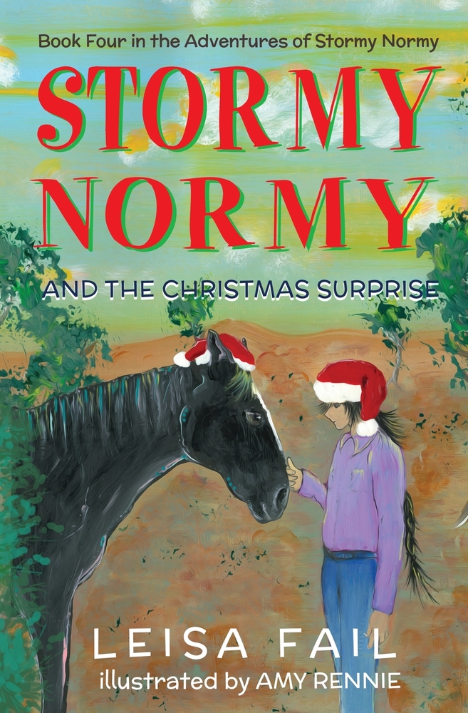 Stormy Normy and the Christmas Surprise cover
