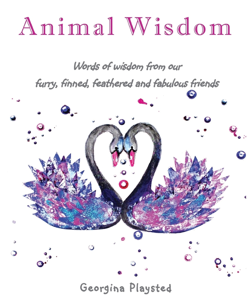 Animal Wisdom cover
