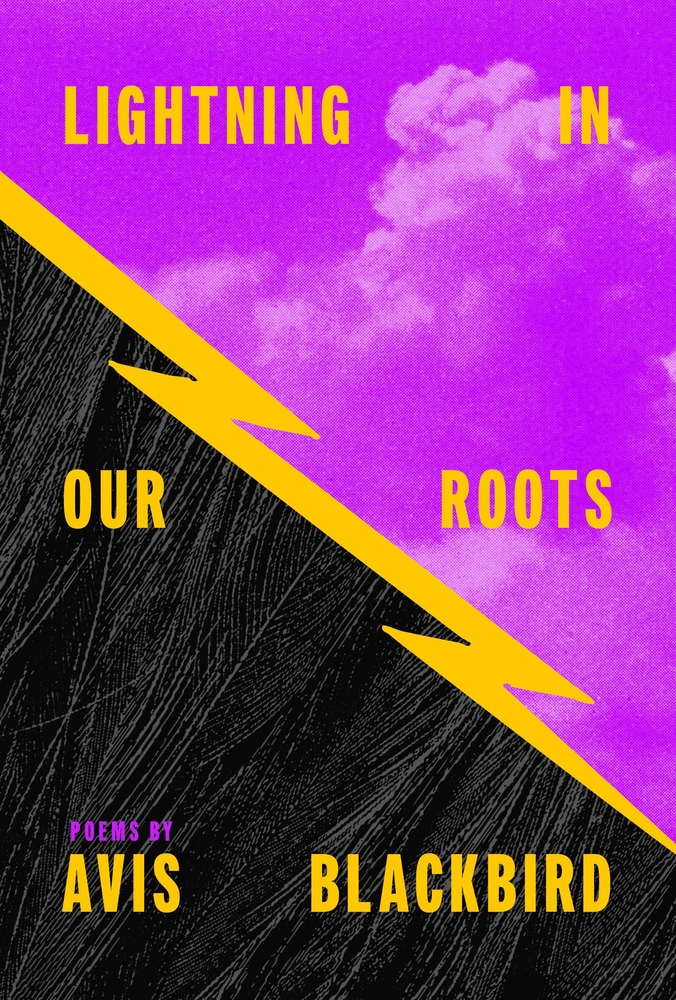 Lightning in Our Roots cover