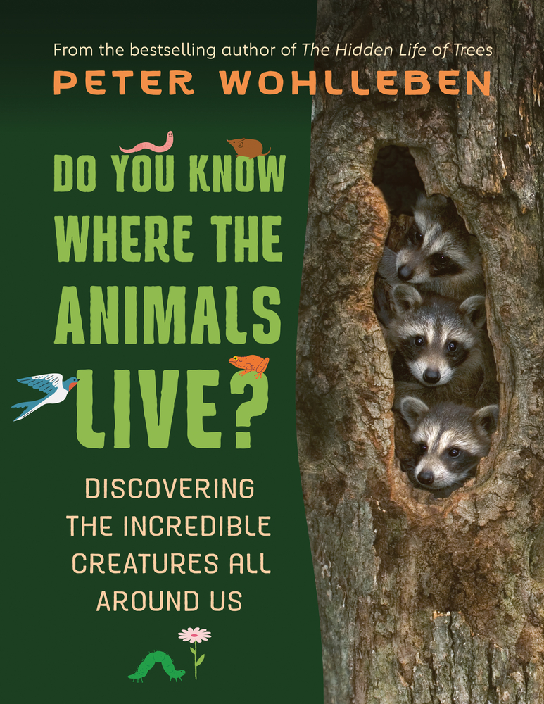 Do You Know Where the Animals Live?: Discovering the Incredible Creatures All Around Us cover