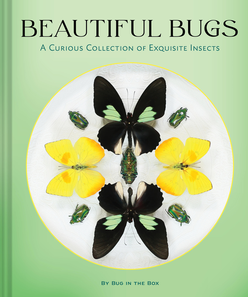 Beautiful Bugs: A Curious Collection of Exquisite Insects cover