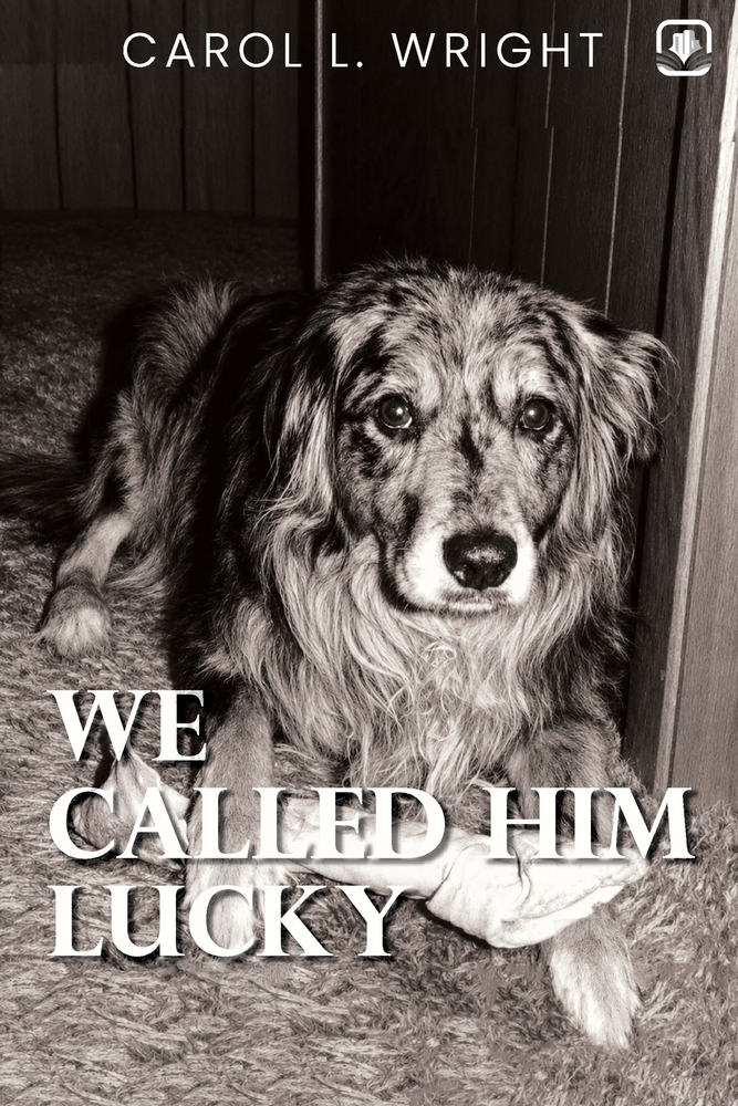 We Called Him Lucky cover