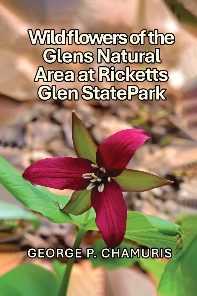 Wildflowers of the Glens Natural Area at Ricketts Glen State Park cover