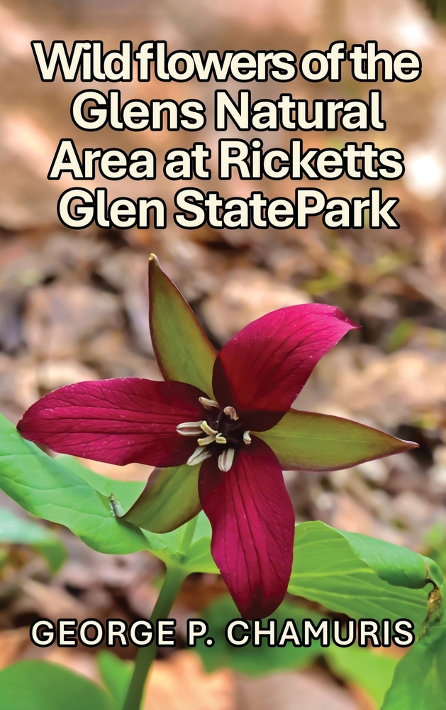 Wildflowers of the Glens Natural Area at Ricketts Glen State Park cover