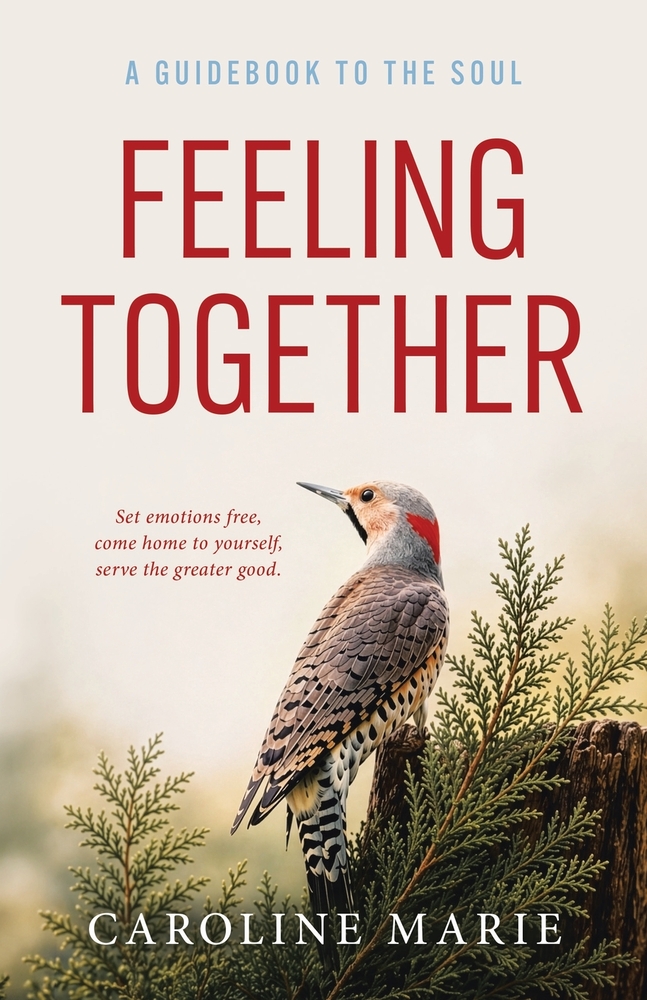 Feeling Together: A Guidebook to the Soul cover