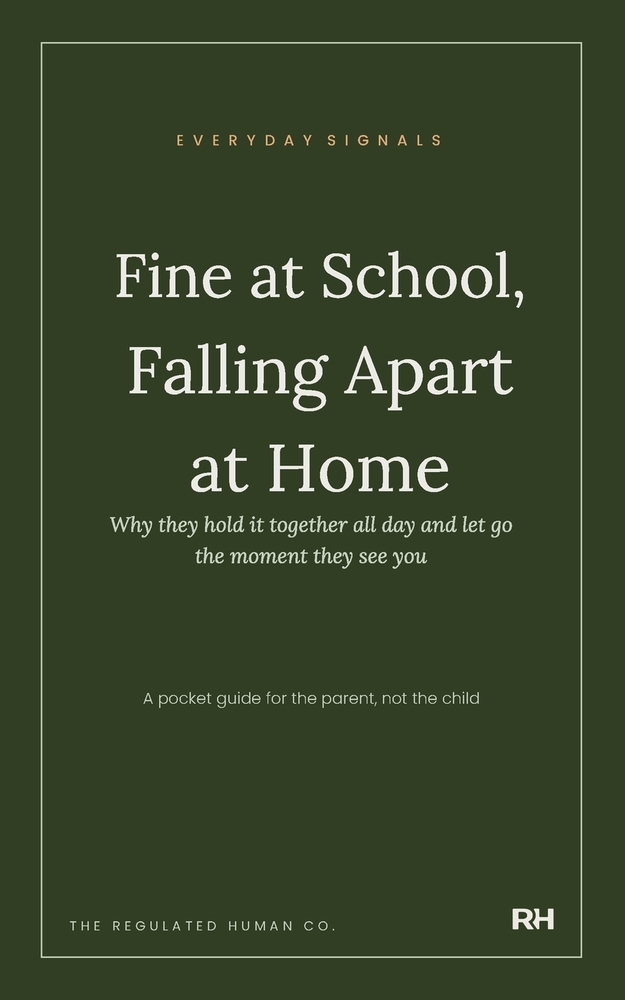 Fine at School, Falling Apart at Home cover
