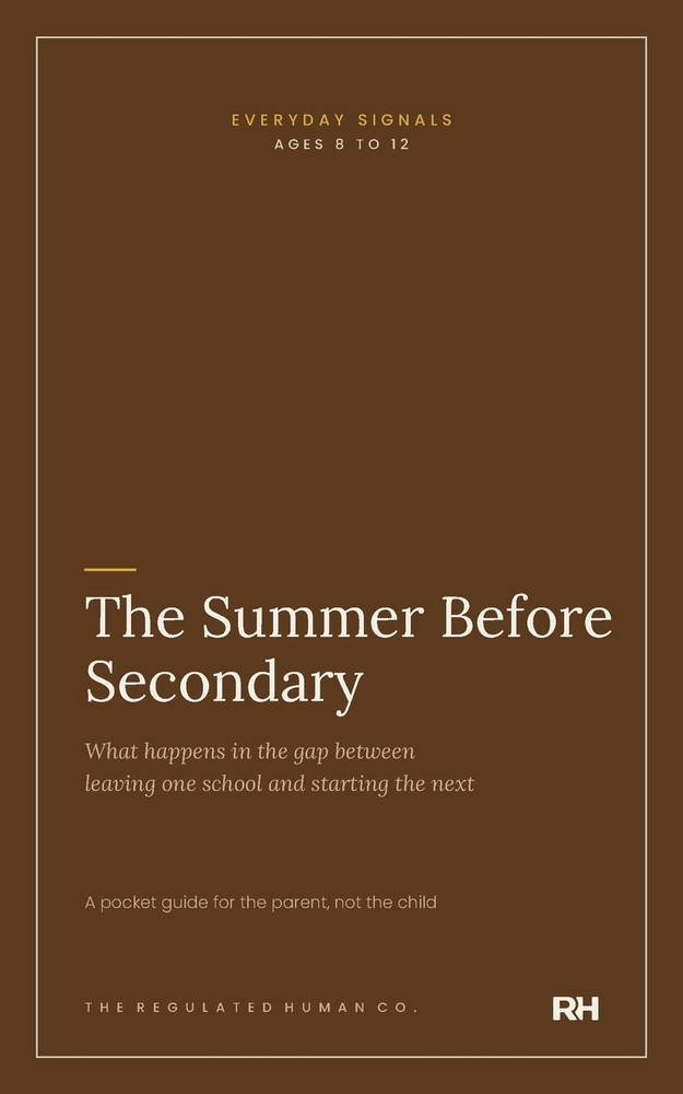 The Summer Before Secondary cover