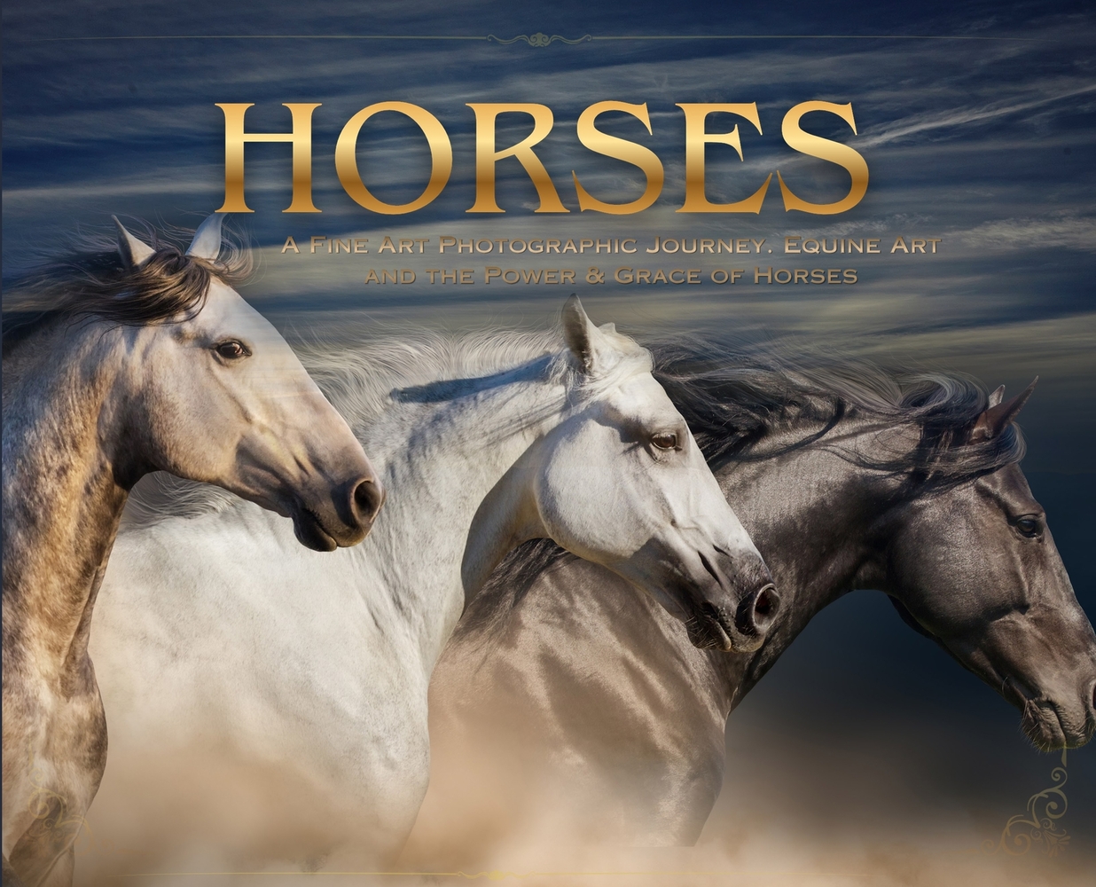 Horses: a Soulful Equestrian Photography Coffee Table Book cover