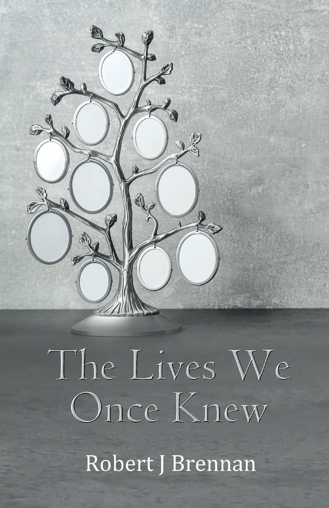 The Lives We Once Knew cover