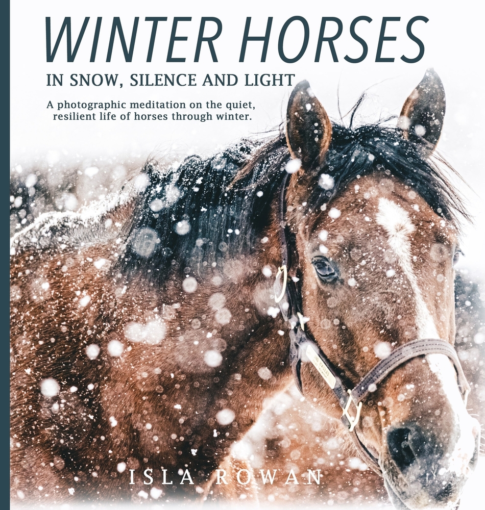 Winter Horses In Snow, Silence and Light: A photographic meditation on the quiet, resilient life of horses through winter. cover