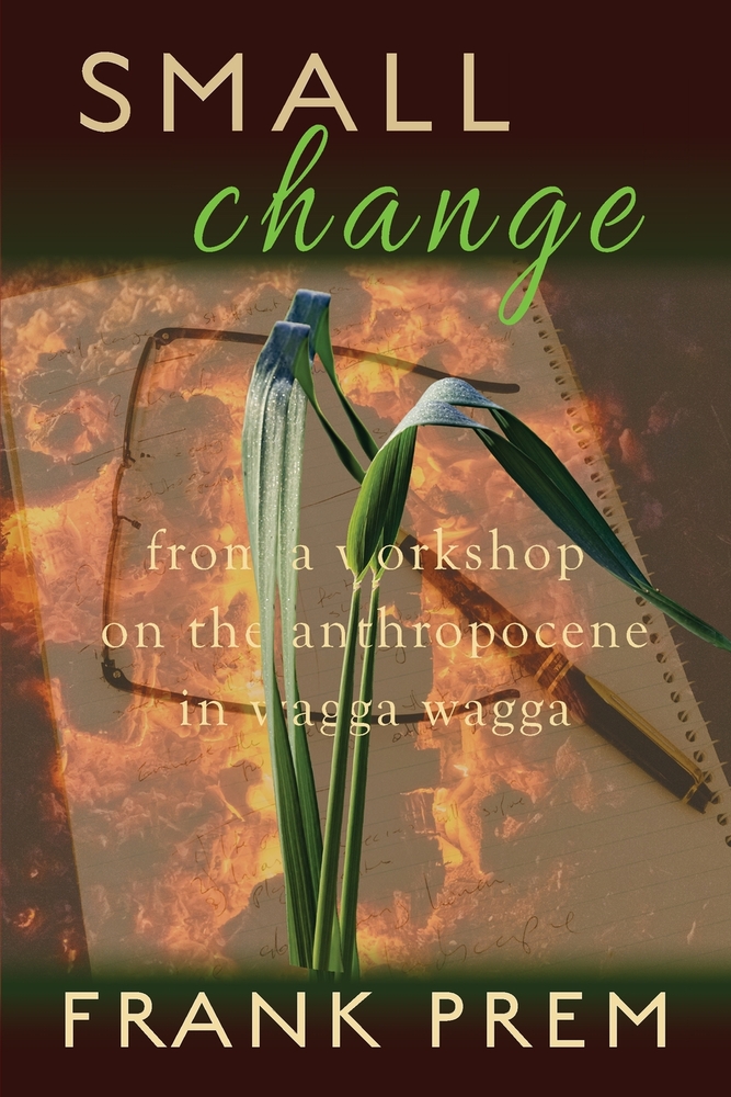 SMALL change: From a Workshop on the Anthropocene in Wagga Wagga cover