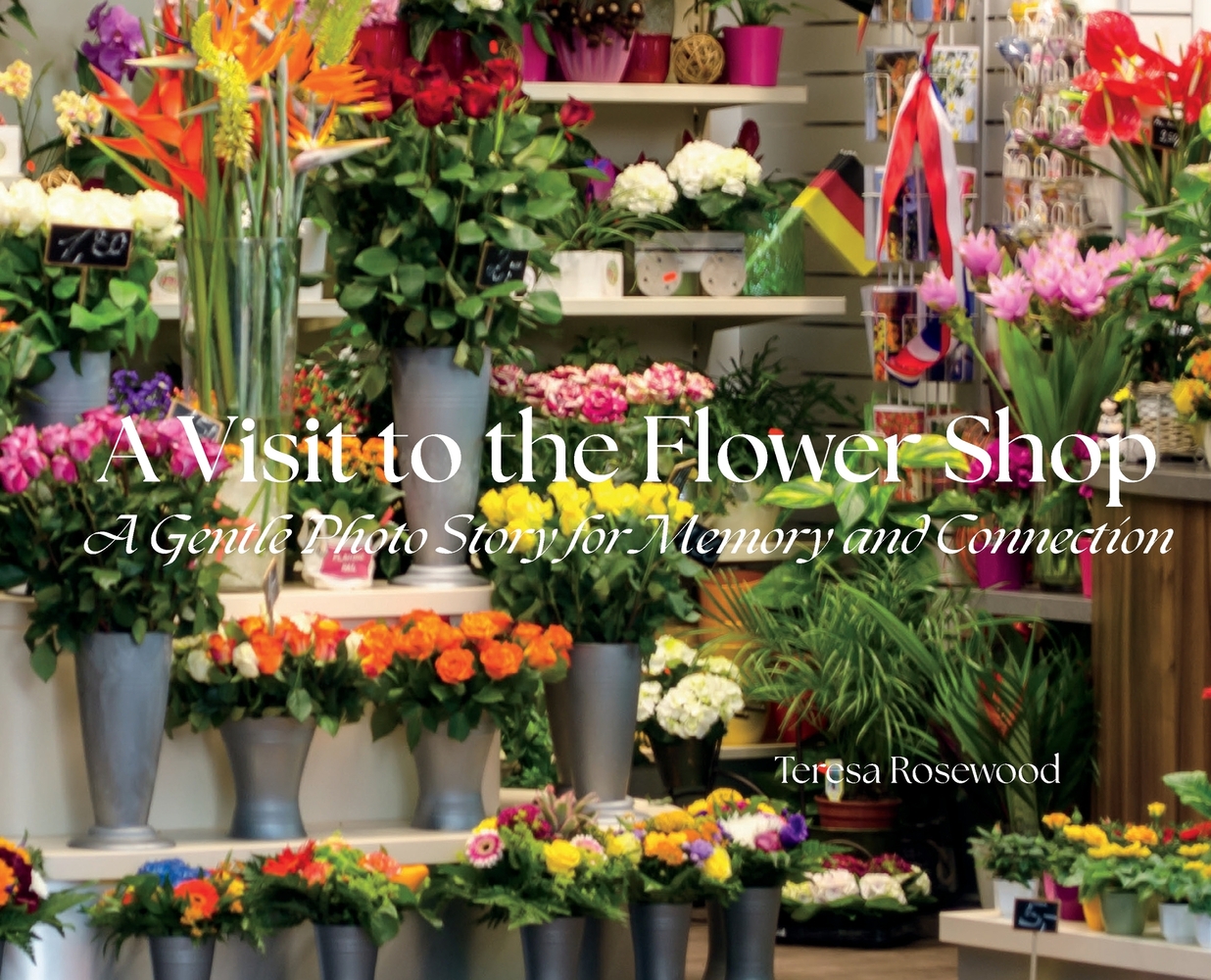 A Visit to the Flower Shop cover