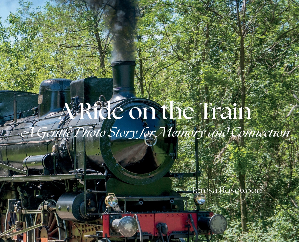 A Ride on the Train cover
