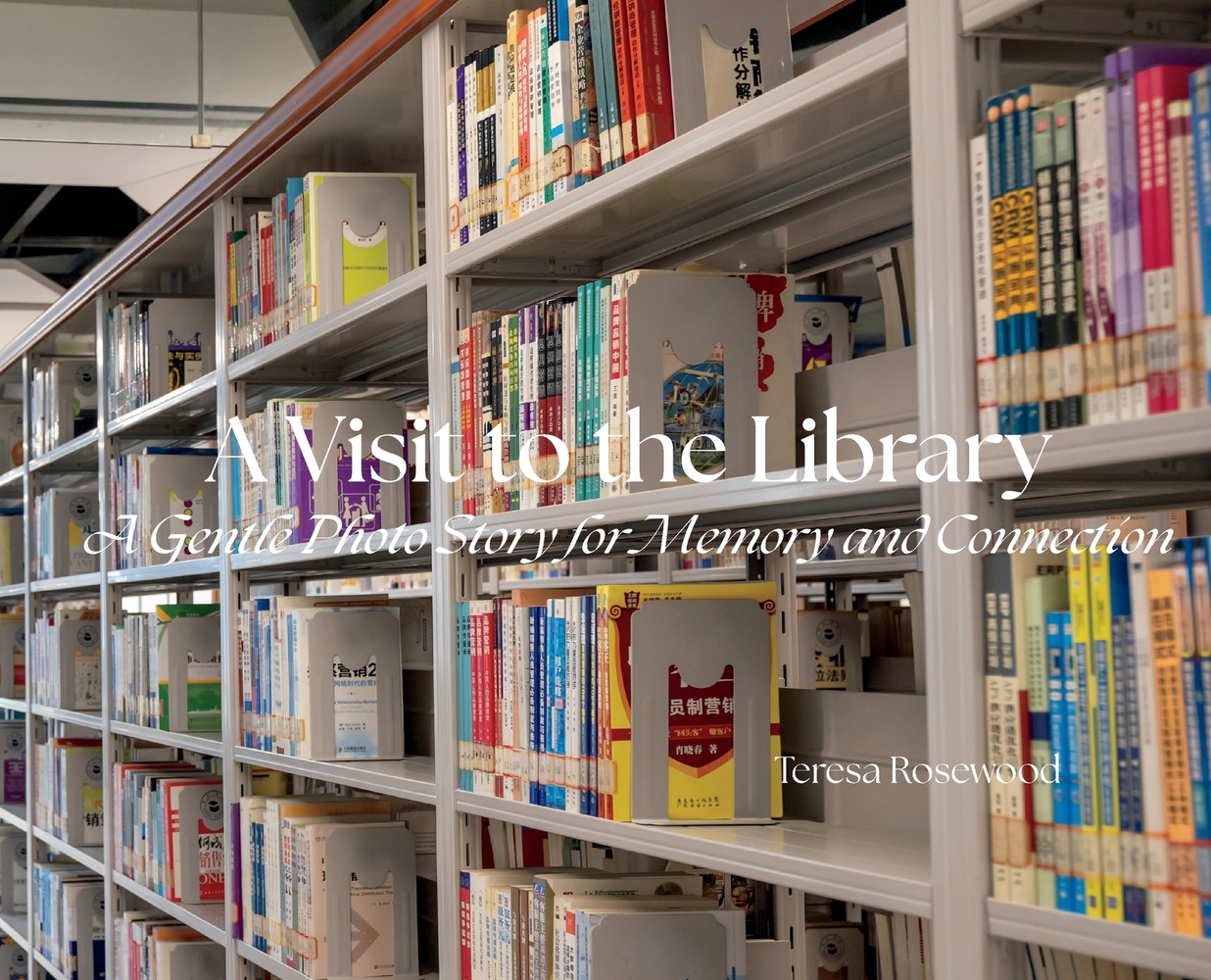 A Visit to the Library cover