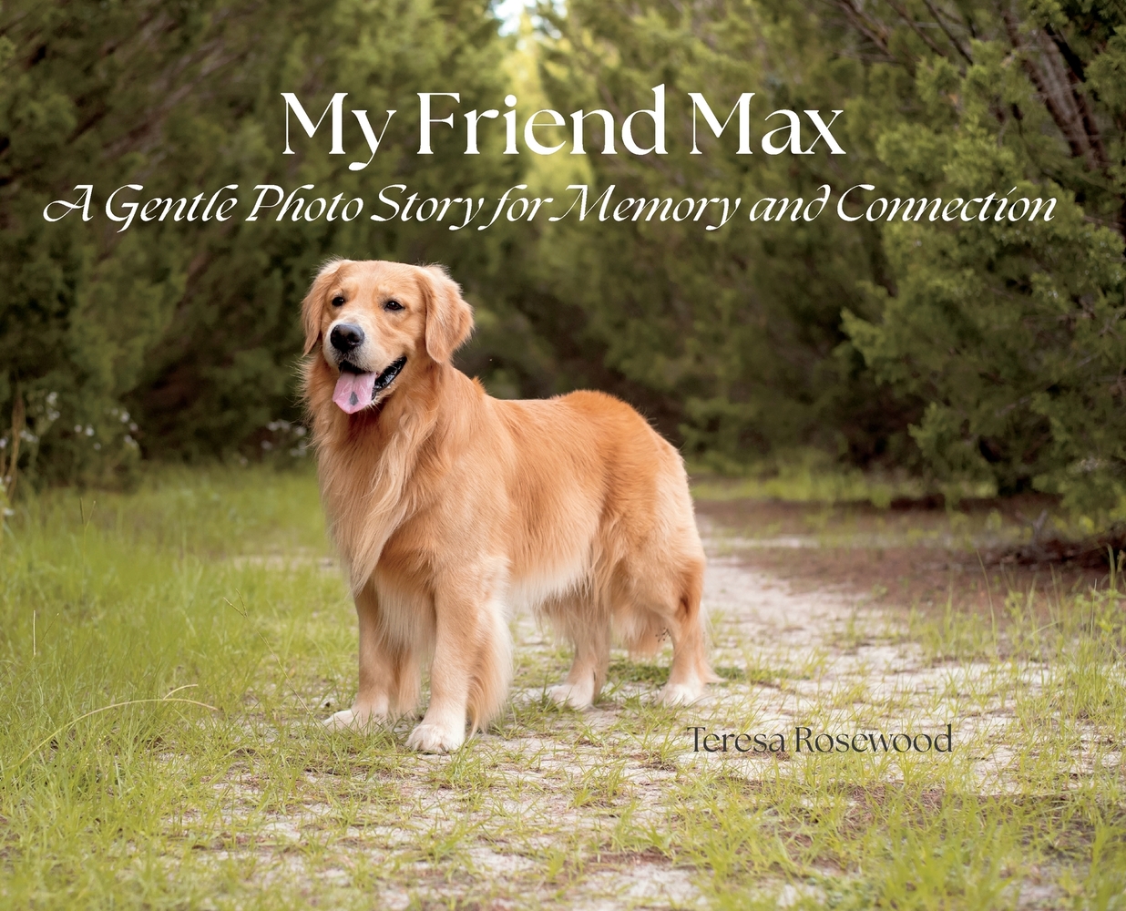 My Friend Max cover