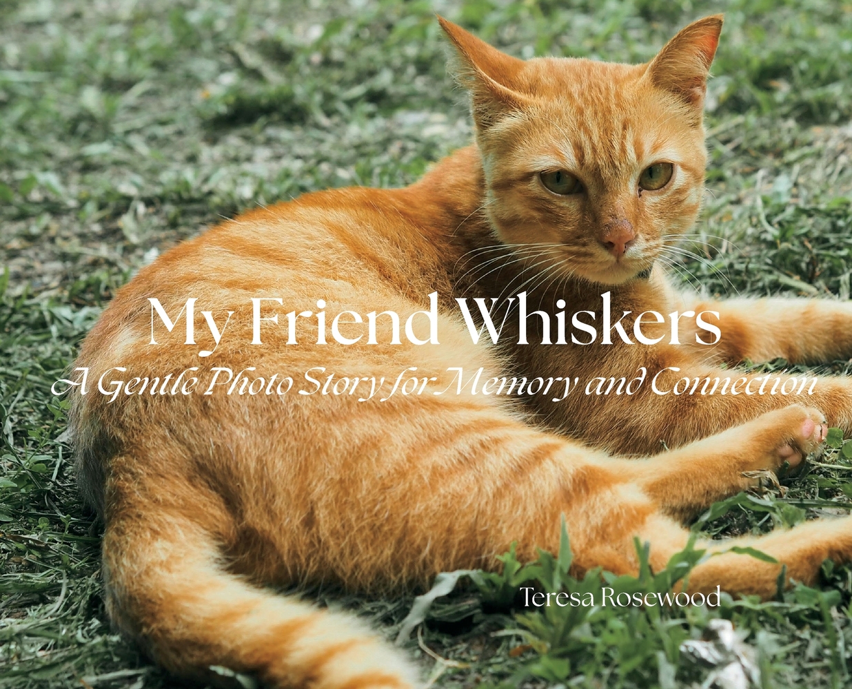 My Friend Whiskers cover