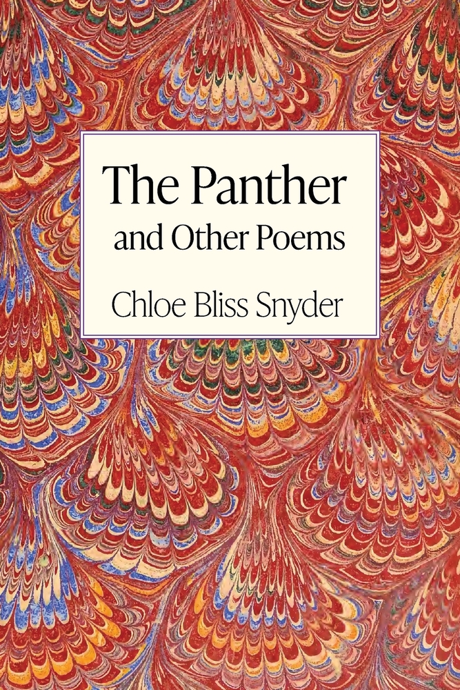 The Panther and Other Poems cover