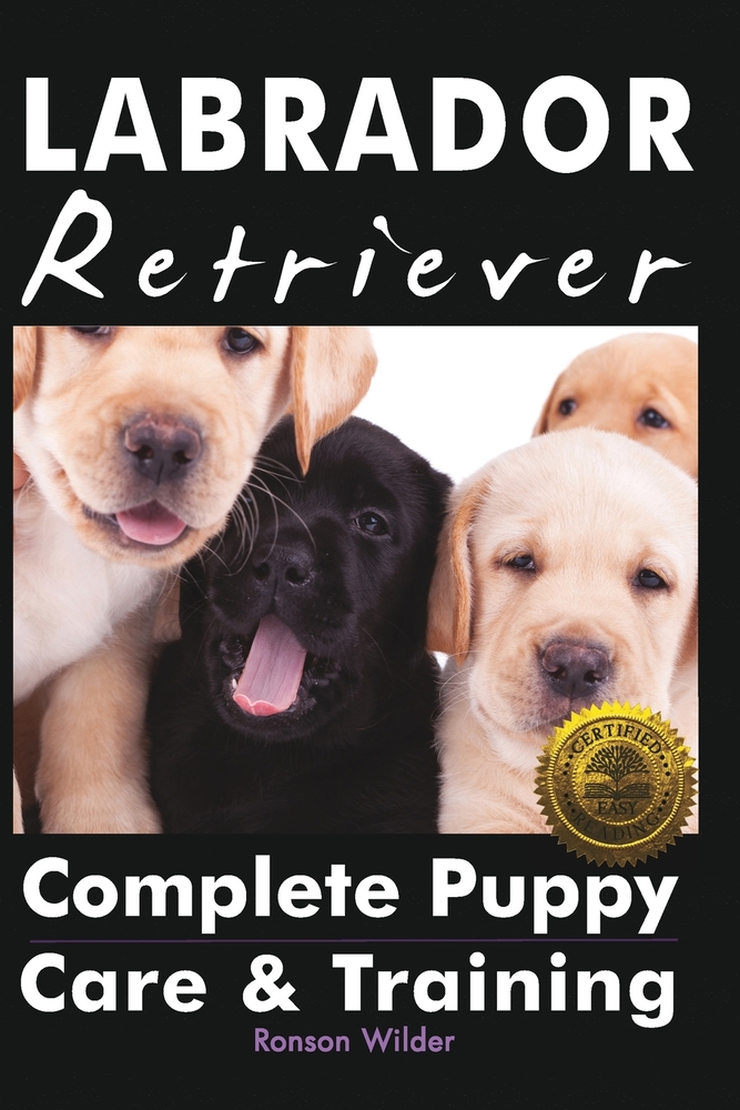 Labrador Retriever: Complete Puppy Care & Training cover