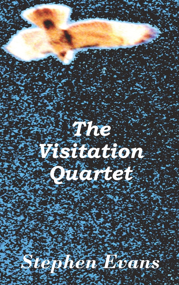 The Visitation Quartet: Four Plays by Stephen Evans cover