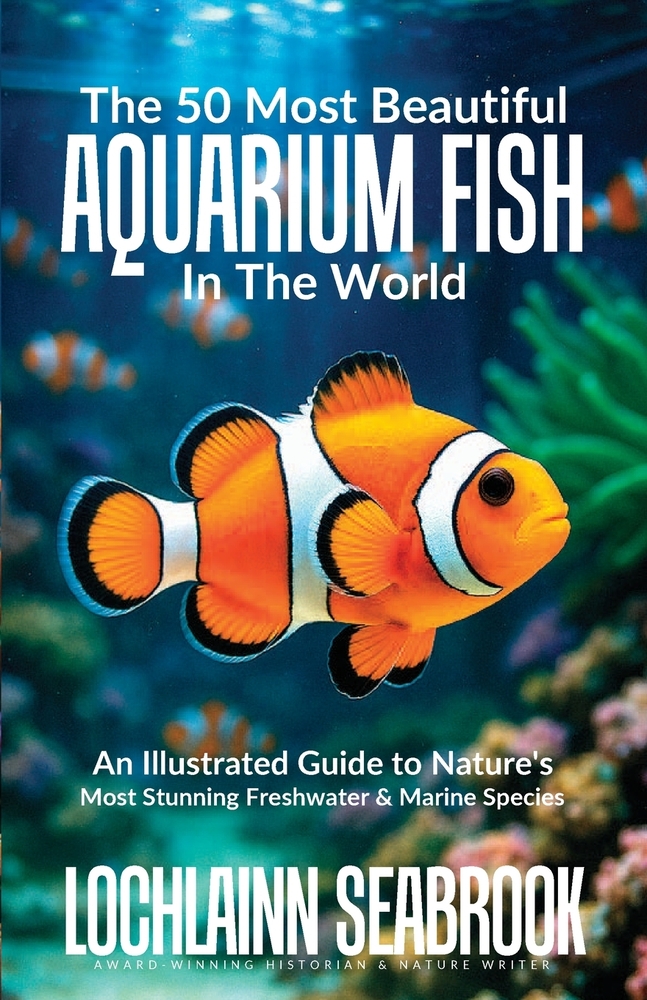 The 50 Most Beautiful Aquarium Fish in the World: An Illustrated Guide to Nature's Most Stunning Freshwater and Marine Species cover