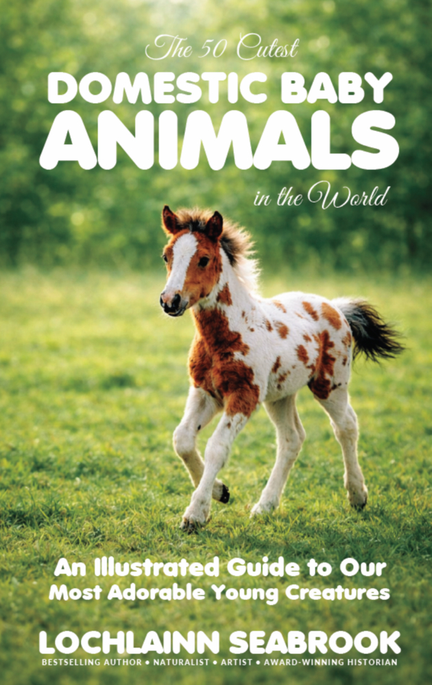 The 50 Cutest Domestic Baby Animals in the World: An Illustrated Guide to Our Most Adorable Young Creatures cover
