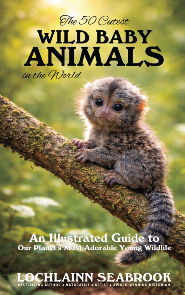 The 50 Cutest Wild Baby Animals in the World: An Illustrated Guide to Our Planet's Most Adorable Young Wildlife cover