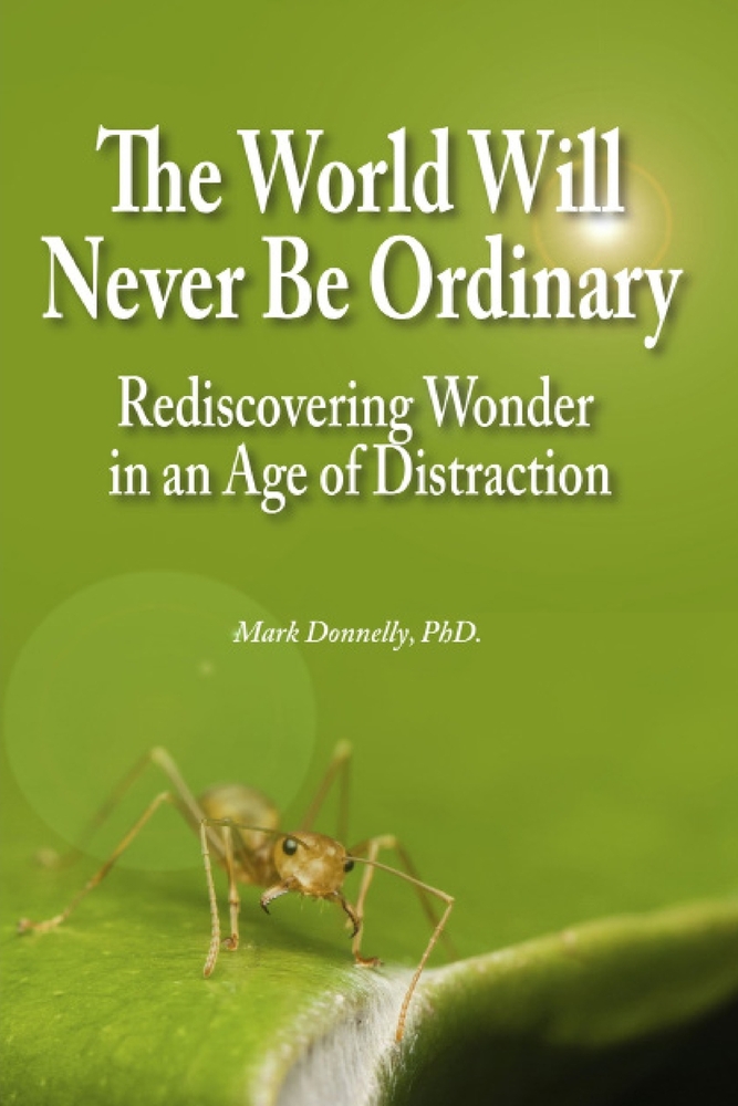 The World Will Never Be Ordinary: Rediscovering Wonder in an Age of Distraction cover