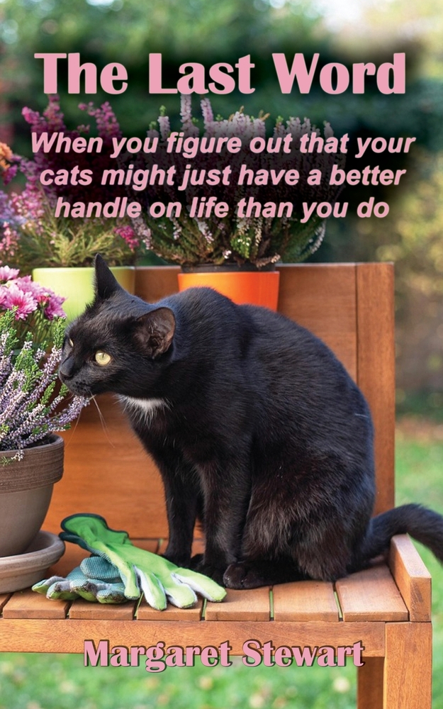 The Last Word: When you figure out that your cats might just have a better handle on life than you do cover