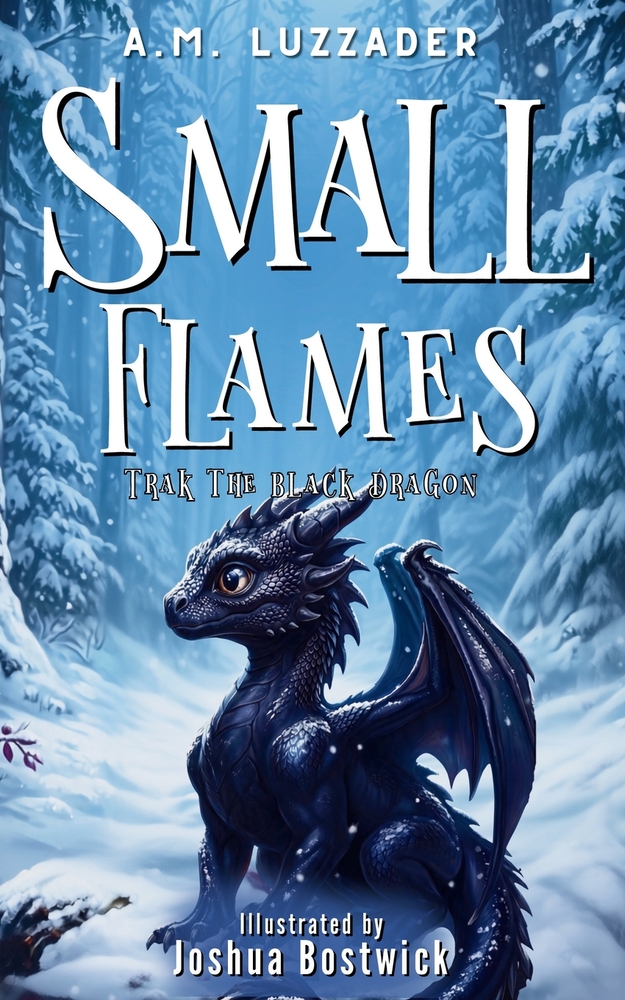 Small Flames: Trak the Black Dragon cover