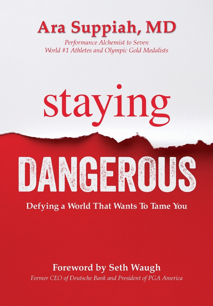 Staying Dangerous: Defying a World That Wants to Tame You cover