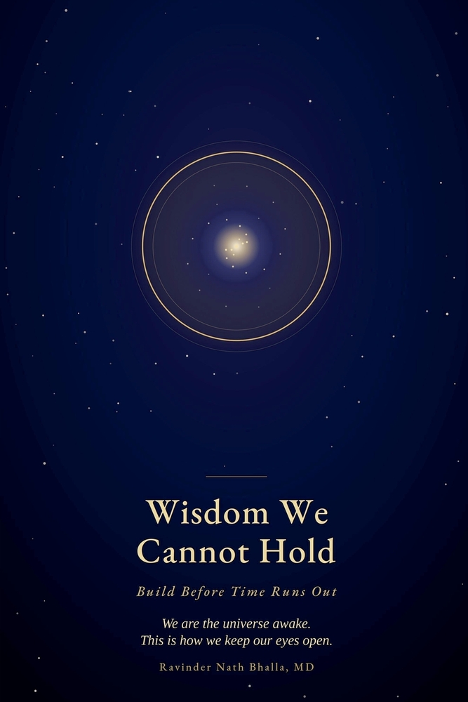 Wisdom We Cannot Hold- Build Before Time Runs Out cover
