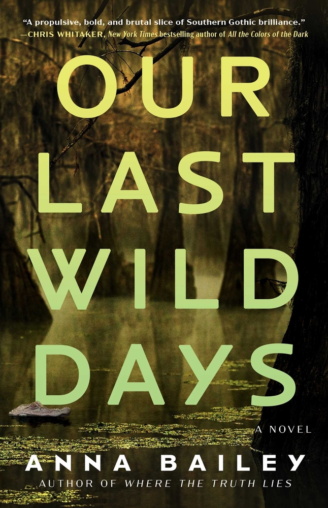 Our Last Wild Days cover