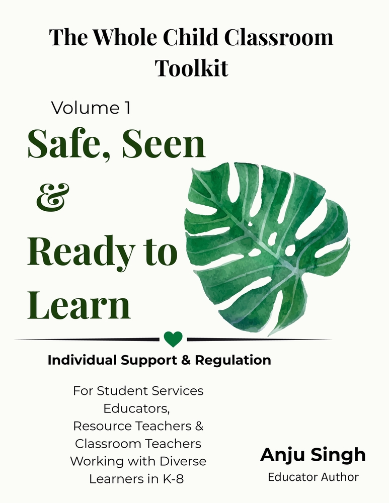 Safe, Seen, and Ready to Learn: A Classroom Support Guide for Students with Diverse Needs cover
