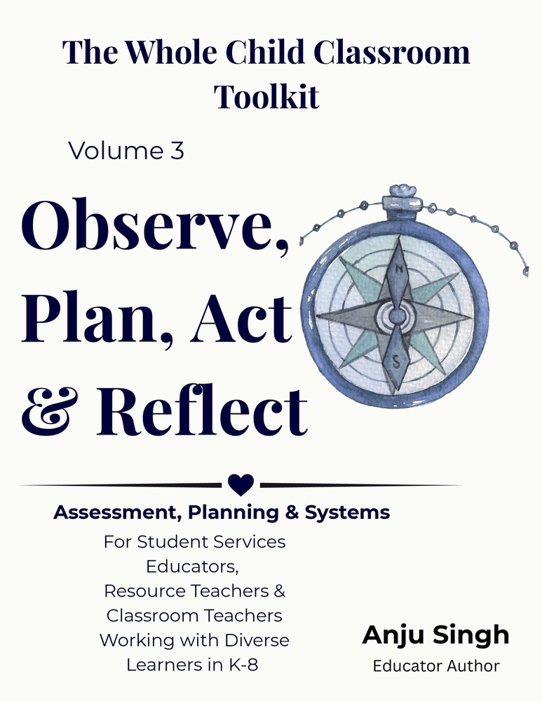 Observe, Plan, Act, Reflect: Informal Assessment, Program Design & Sustainable Student Support Systems cover