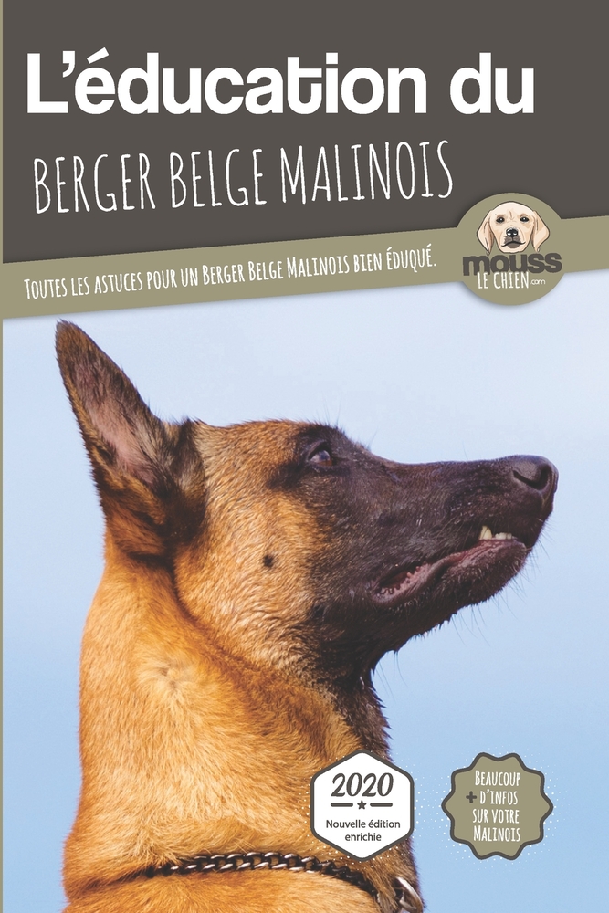 L'ÉDUCATION DU BERGER BELGE MALINOIS - Edition 2020 enrichie: Toutes les astuces pour un Berger Belge Malinois bien éduqué cover