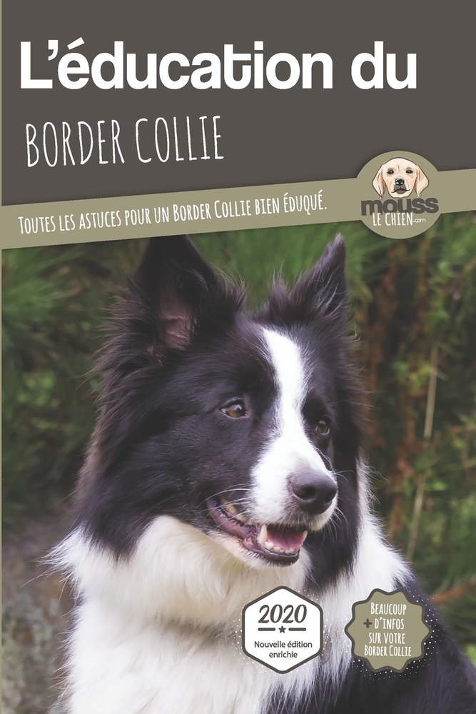 L'ÉDUCATION DU BORDER COLLIE - Edition 2020 enrichie: Toutes les astuces pour un Border Collie bien éduqué cover