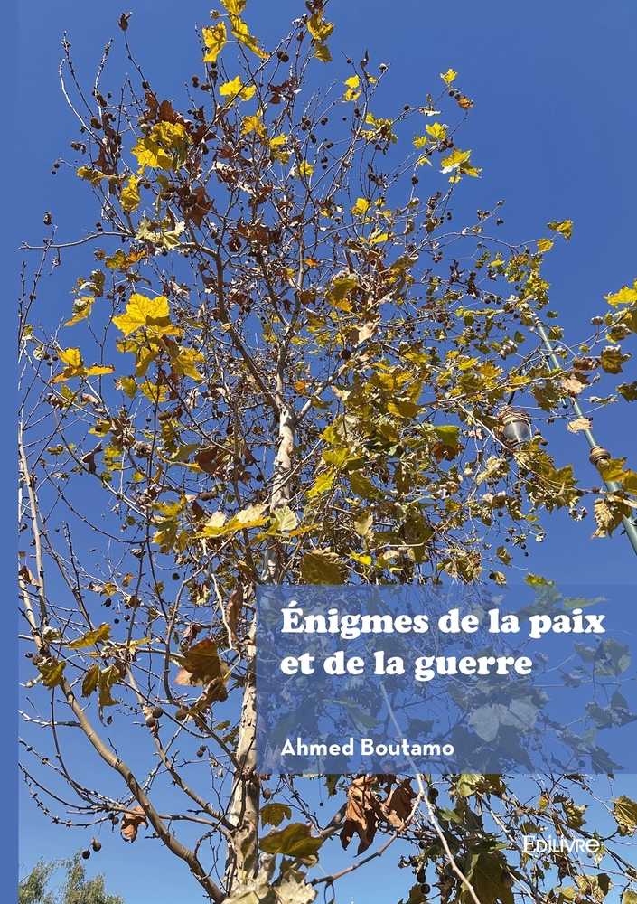 Énigmes de la paix et de la guerre: Le cas de l'Afghanistan: entre conflits et espoirs de paix. cover