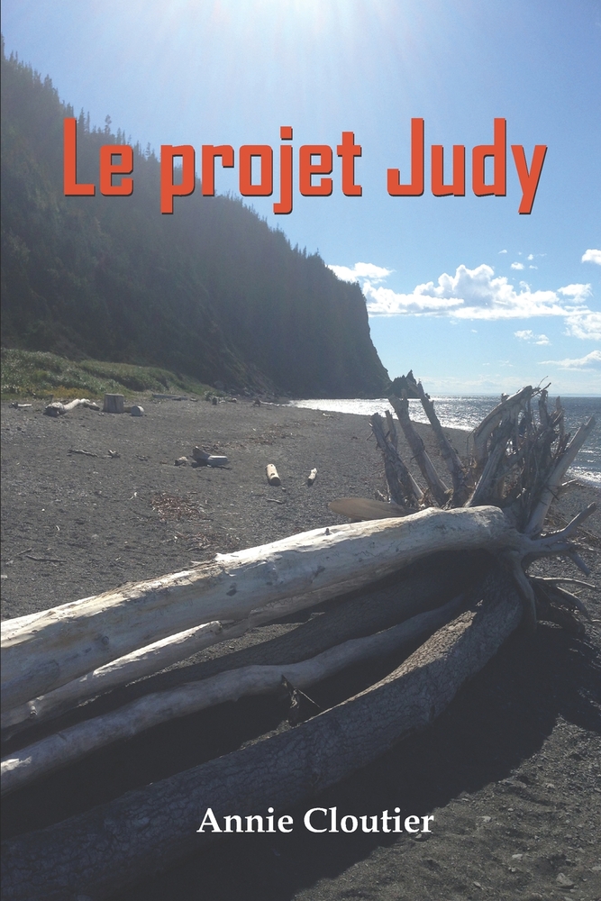 Le projet Judy cover